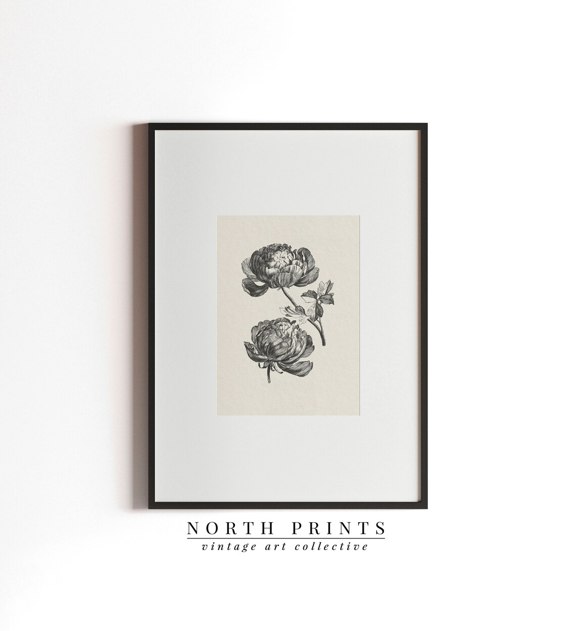 Antique Peony Sketch, Vintage Botanical Art Print - Image 3