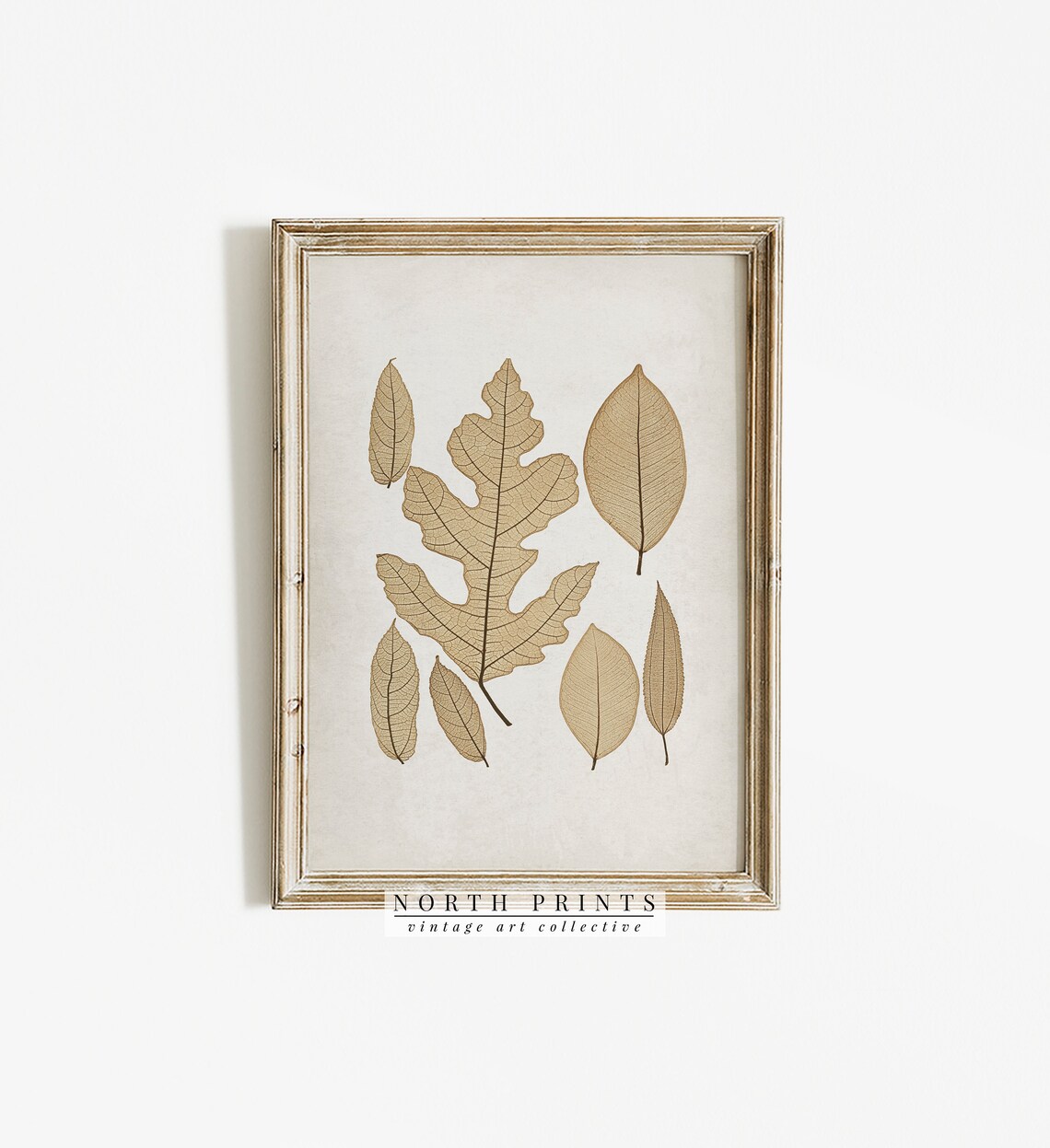 Neutral Autumn Botanical Leaf Art, Vintage Country - Image 3