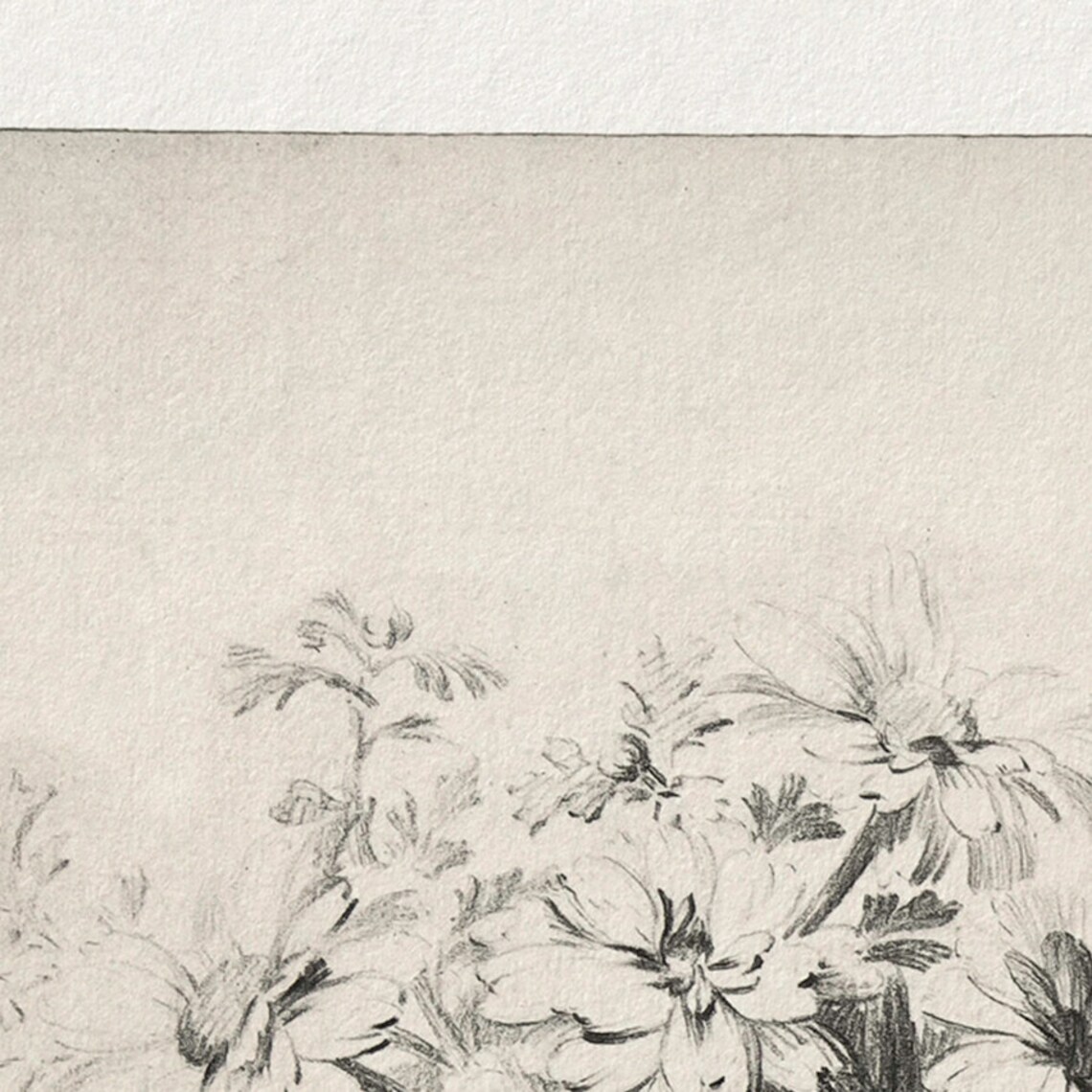 Vintage Flower Sketch Neutral Floral Drawing Print - Image 3