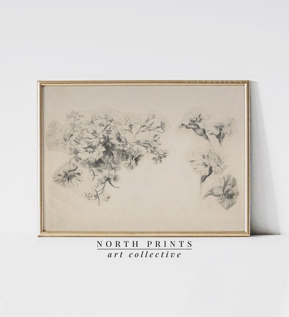 Antique Neutral Botanical Sketch Art Print