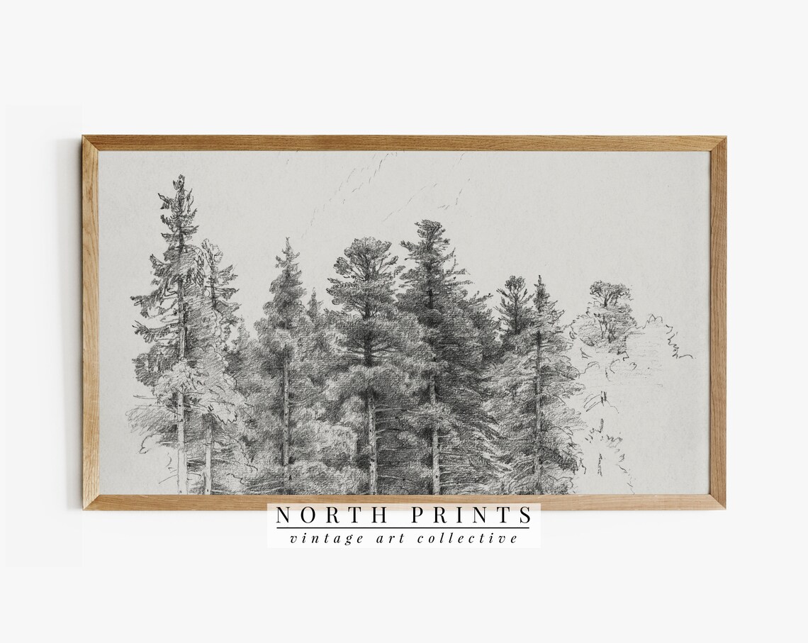 Vintage Neutral Pine Tree Sketch Art Print