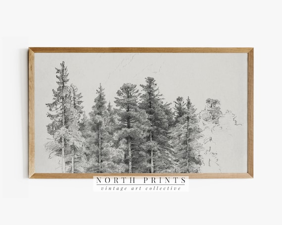 Vintage Neutral Pine Tree Sketch Art Print