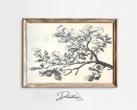 Oak Tree Branch Wall Art Tree Branch Drawing Tree Sketch Tree Print Plant Wall Art Plant Sketch Branch Sketch Tree Art