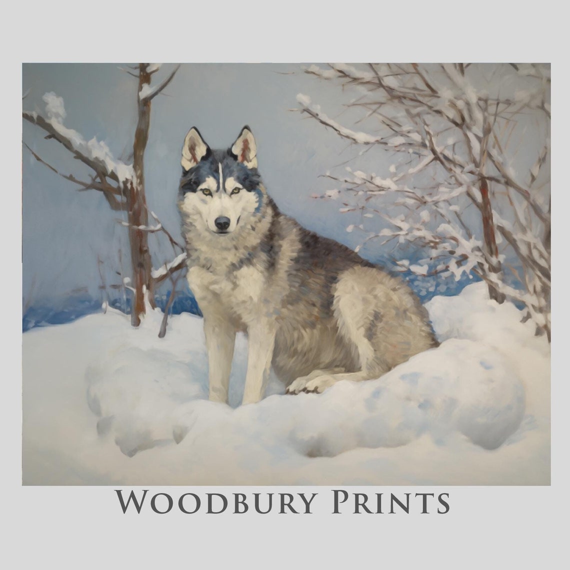 Siberian Husky Standing In Snow Among Birch Trees Art Poster
