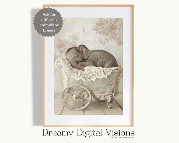 Baby Elephant Sleeping in White Lace Stroller Nursery Photo Poster