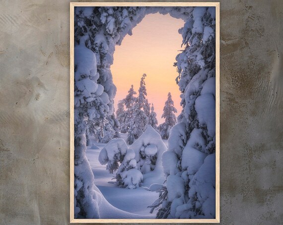 Snowy Tree Archway Framing Pink Sunset Over Winter Forest Poster