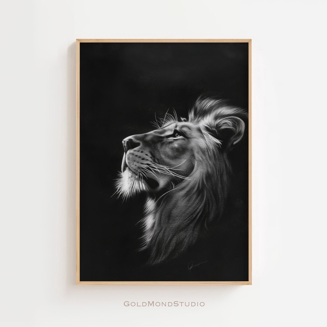 Dramatic Black and White Lion Portrait Gazing Upward in the Dark Poster
