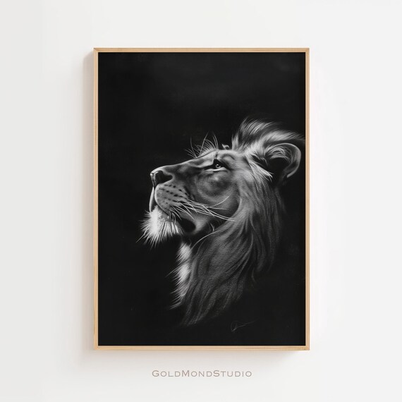 Dramatic Black and White Lion Portrait Gazing Upward in the Dark Poster