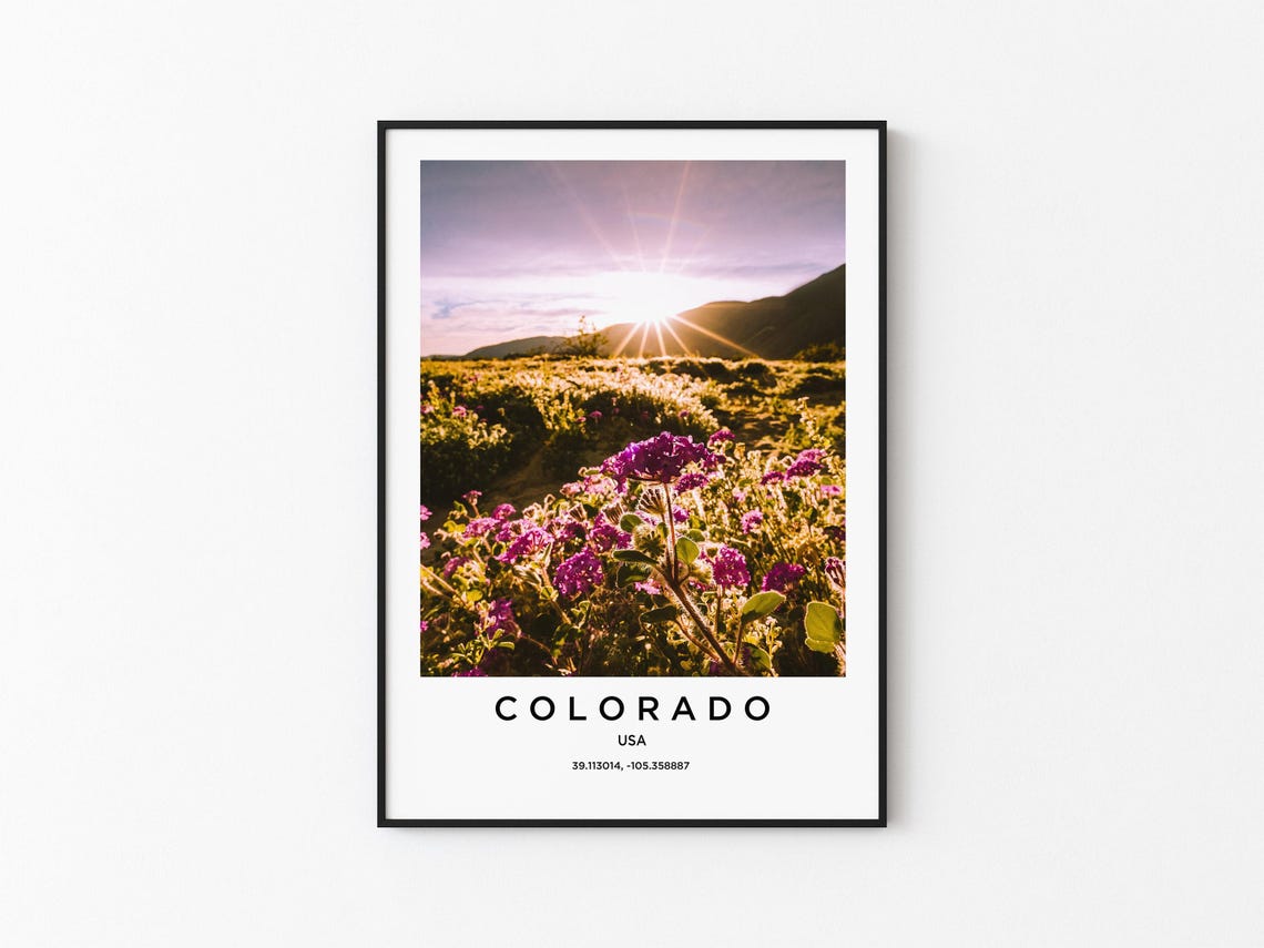 Colorado Wildflower Meadow Mountain Sunrise Scenic Travel Poster