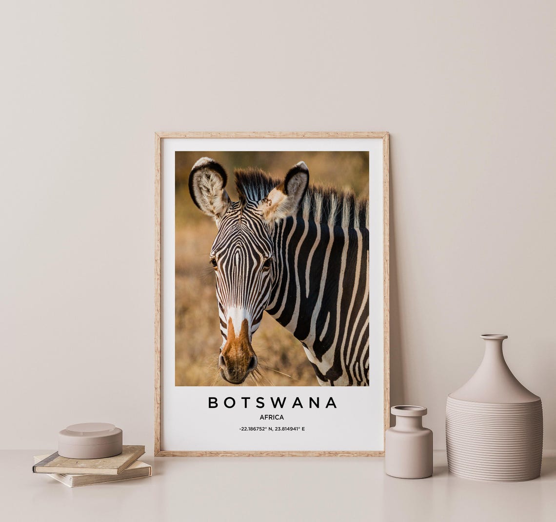 Botswana Africa Zebra Portrait Wildlife Photography Art Poster - Image 2