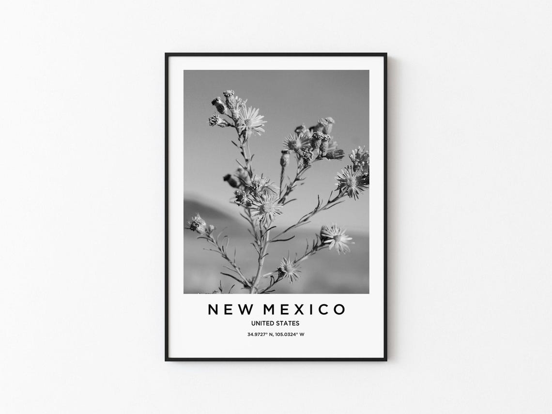 New Mexico Travel Poster