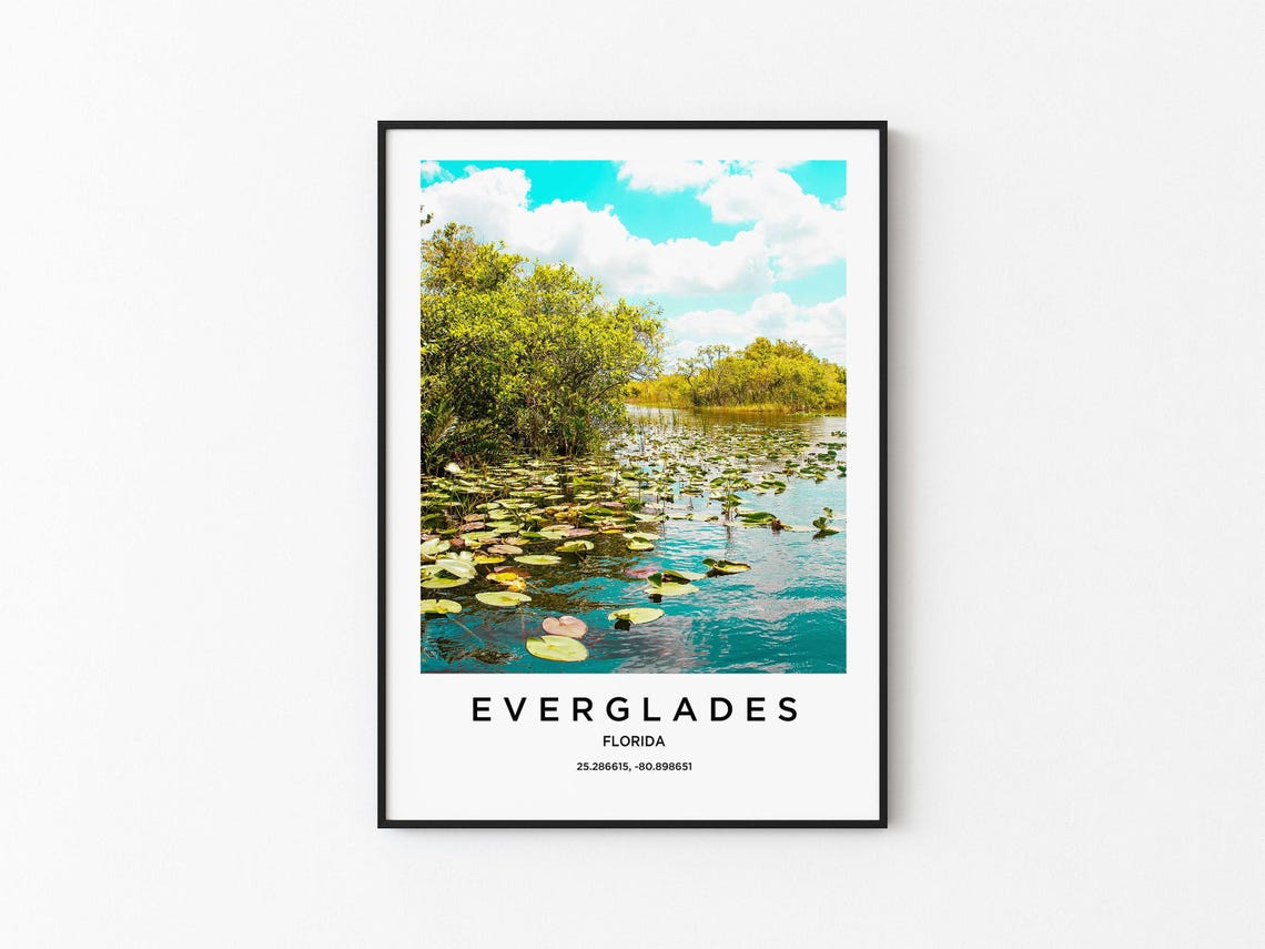 Everglades Florida Bright Lily Pad Swamp Minimalist Travel Poster