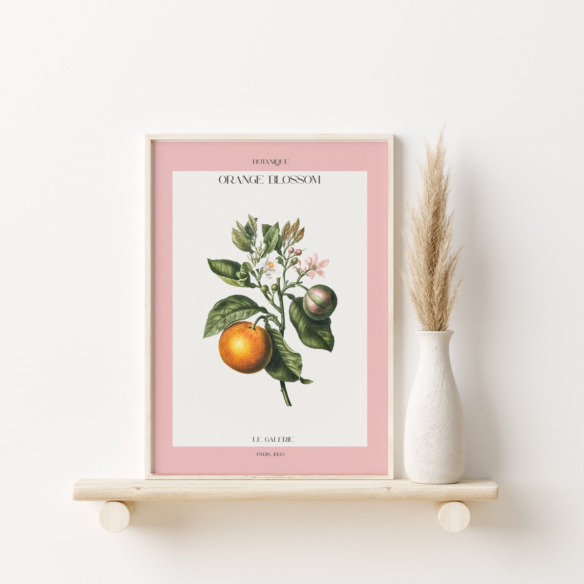 Botanique Orange Blossom Vintage Botanical Pink Gallery Poster - Image 2
