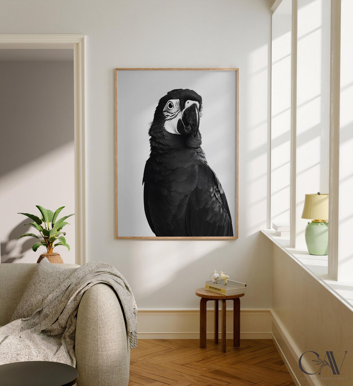 Black and White Macaw Parrot Close Up Portrait Photography Wall Art - Image 2