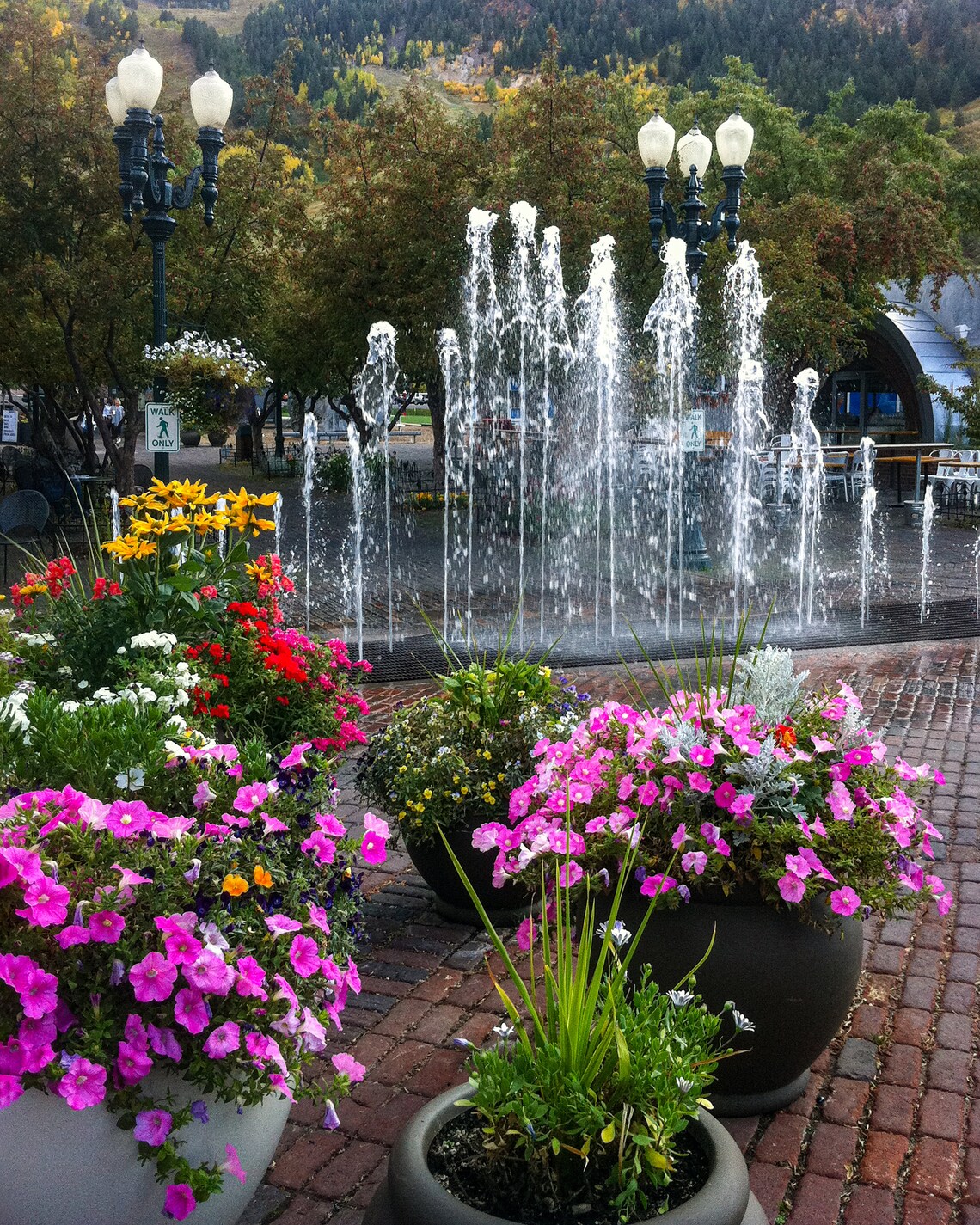 Aspen Colorado Fountains Plaza Flowers Mountain View Wall Poster