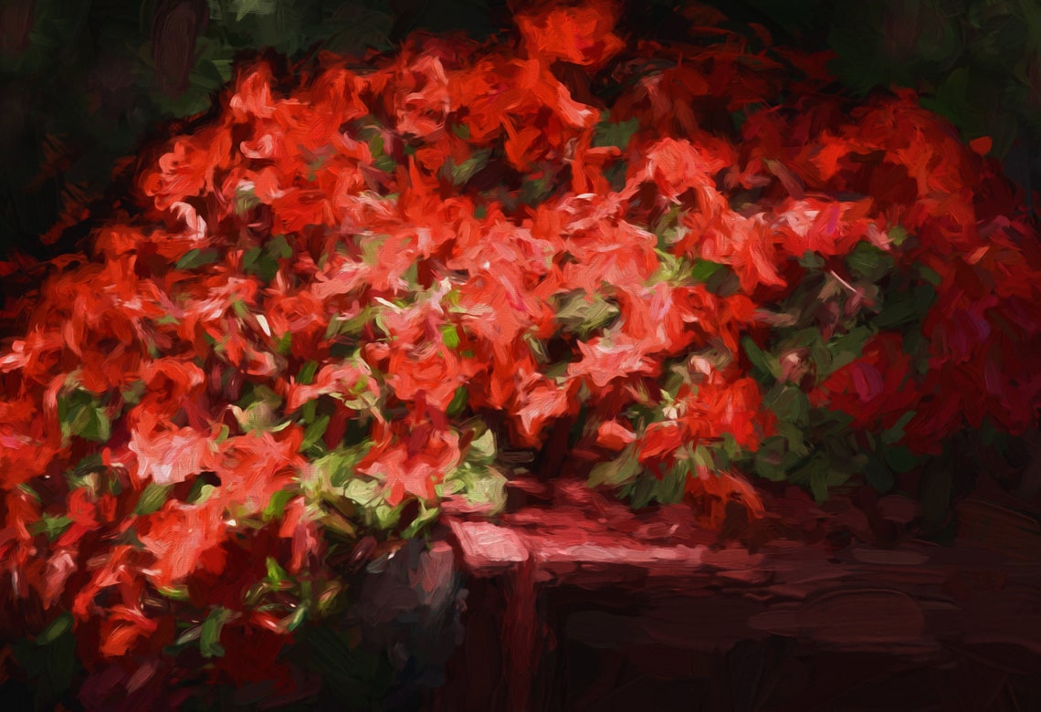 Crimson Red Impatiens Blossoms Impressionist Bold Floral Art Poster