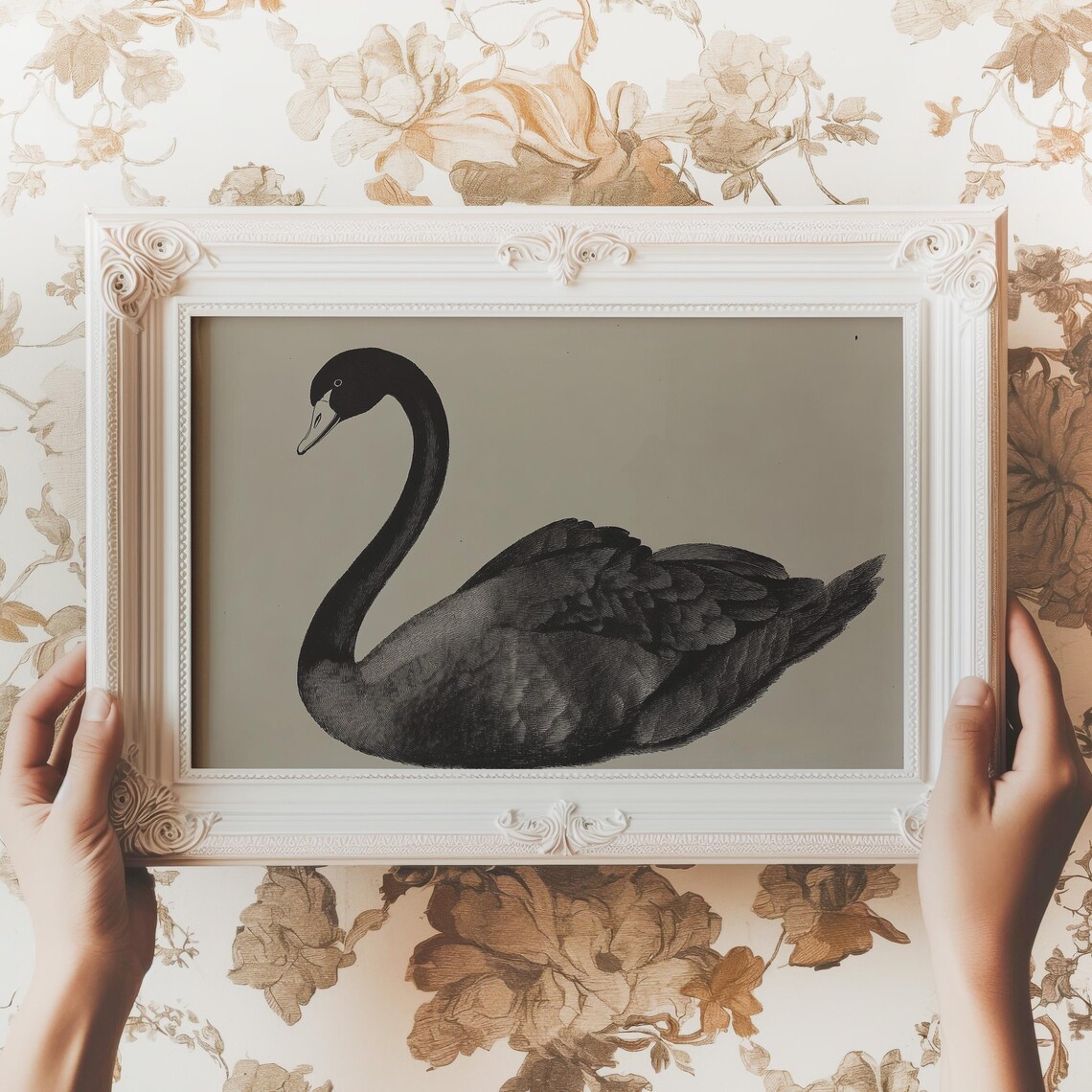 Black Swan Watercolor Painting Elegant Bird Neutral Background Poster