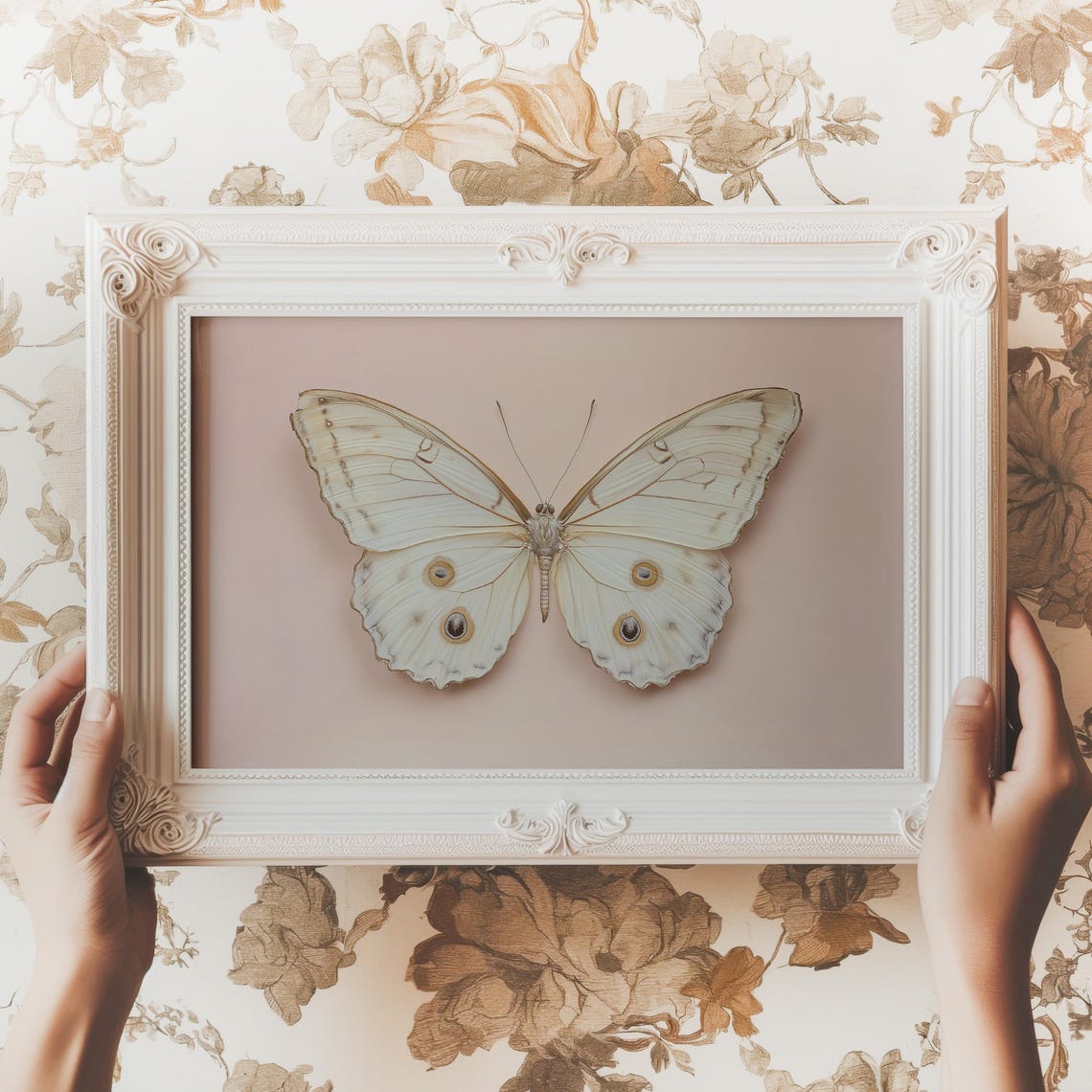 White Butterfly Neutral Insect Specimen Blush Vintage Art Poster