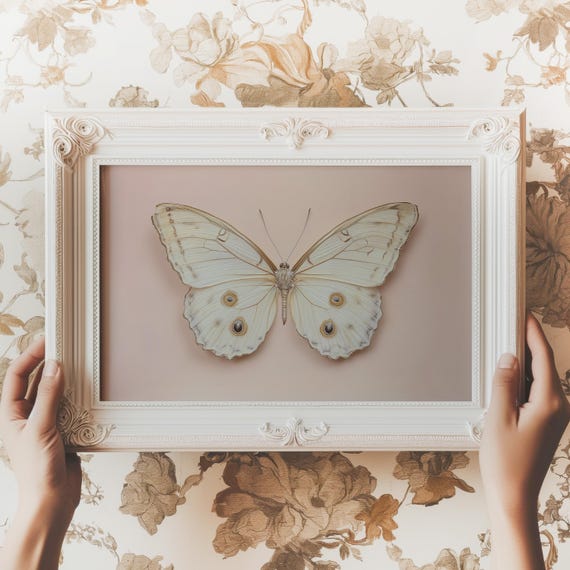 Vintage White Butterfly Print Neutral Moody Insect Wall Art Farmhouse Pink Decor Antique Moth Painting Decor