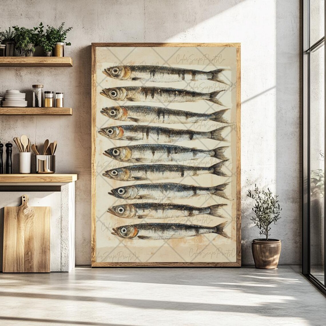 Vintage Sardine Fish School Natural History Illustration Art Poster - Image 4