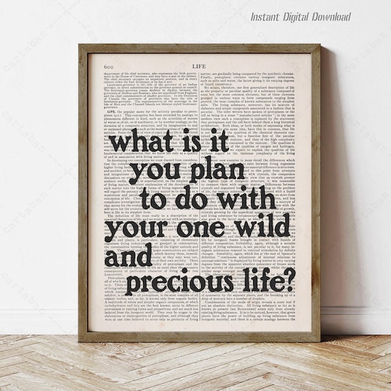 What Is It You Plan To Do Quote, Summer Day Poster