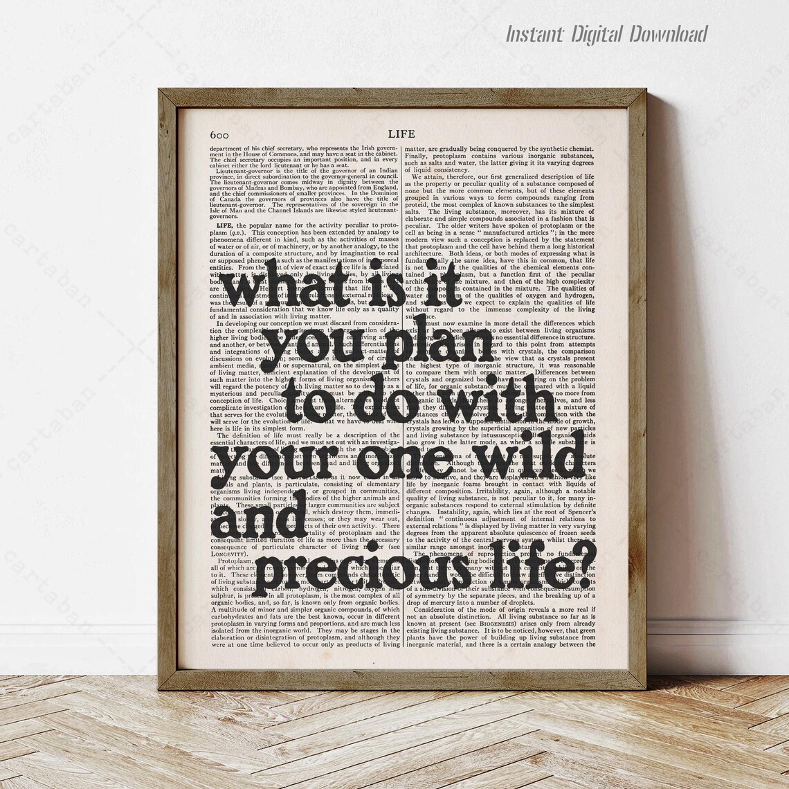 What Is It You Plan To Do Quote, Summer Day Poster