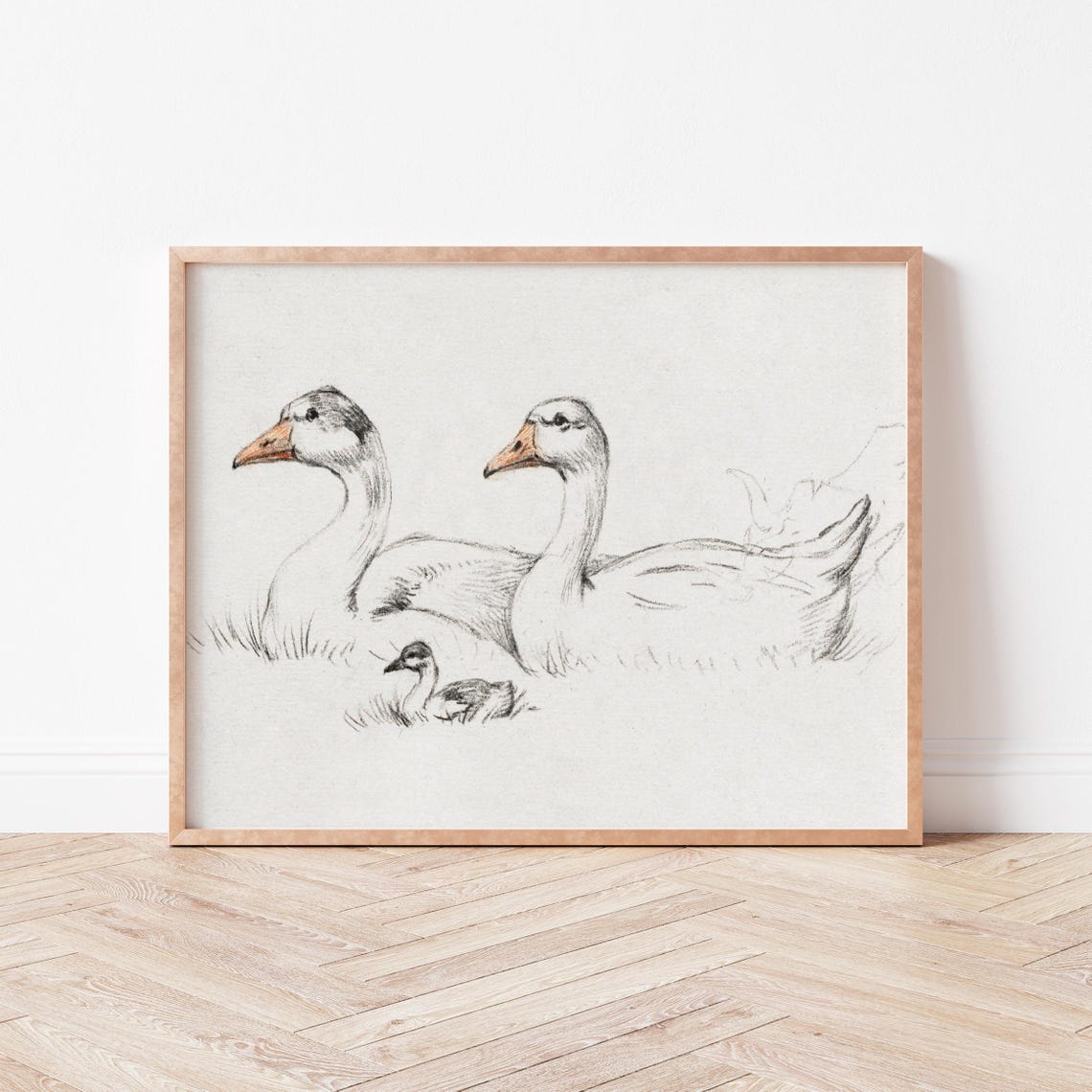 Three Ducks Sketch Art Farmhouse Wall Decor Rustic Nursery Wild Violets An0027