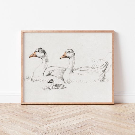 Three Ducks Sketch Art Farmhouse Wall Decor Rustic Nursery Wild Violets An0027