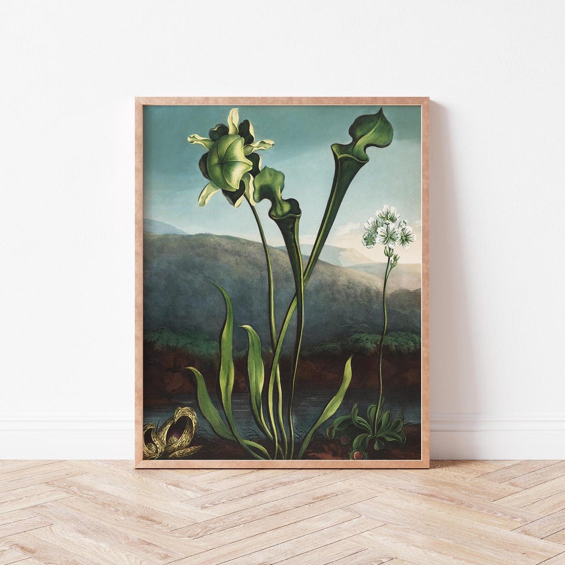 Dark Botanical Green Flower Wall Art Maximalist Water Lily Floral Illustration Academia Jt0005