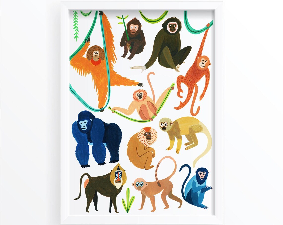 Monkey Species Botanical Illustration Art Print - Image 4
