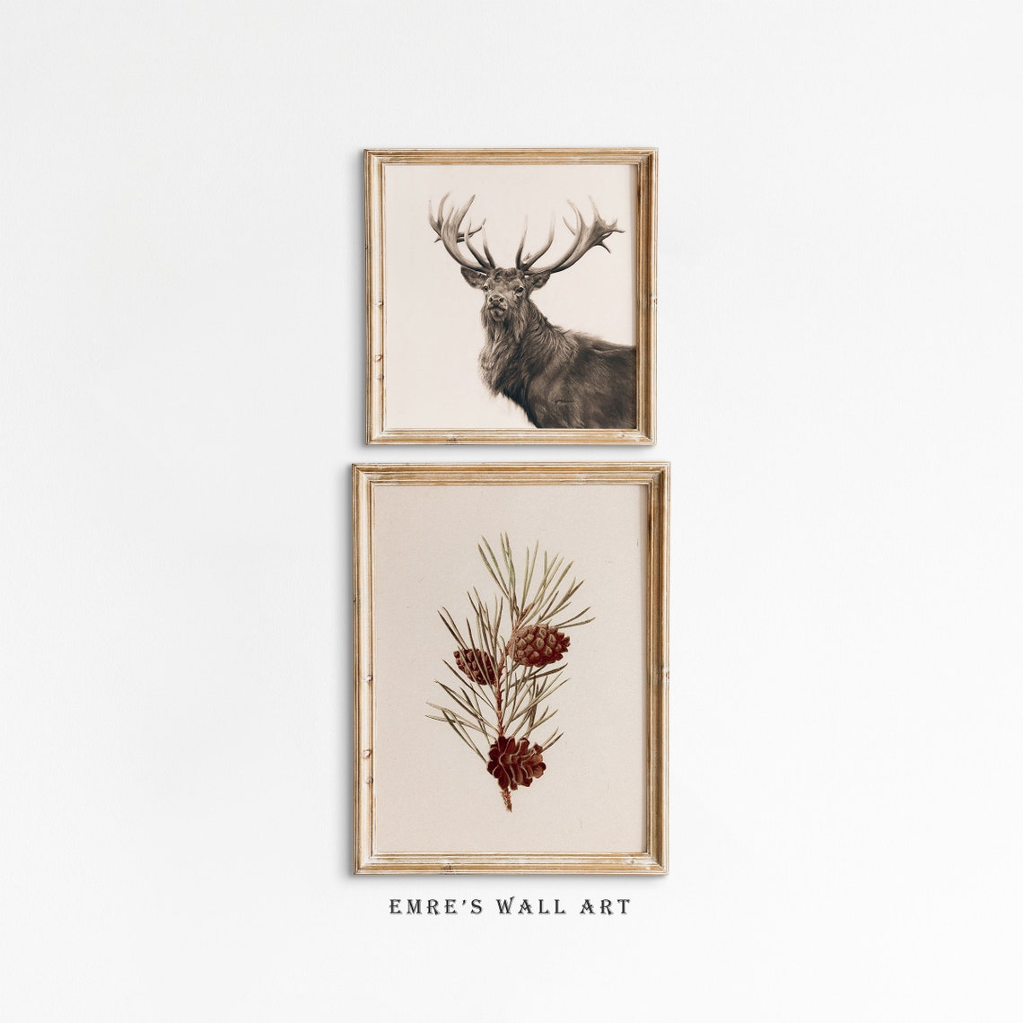 Stag Portrait And Pinecone Botanical Neutral Gallery Set Poster