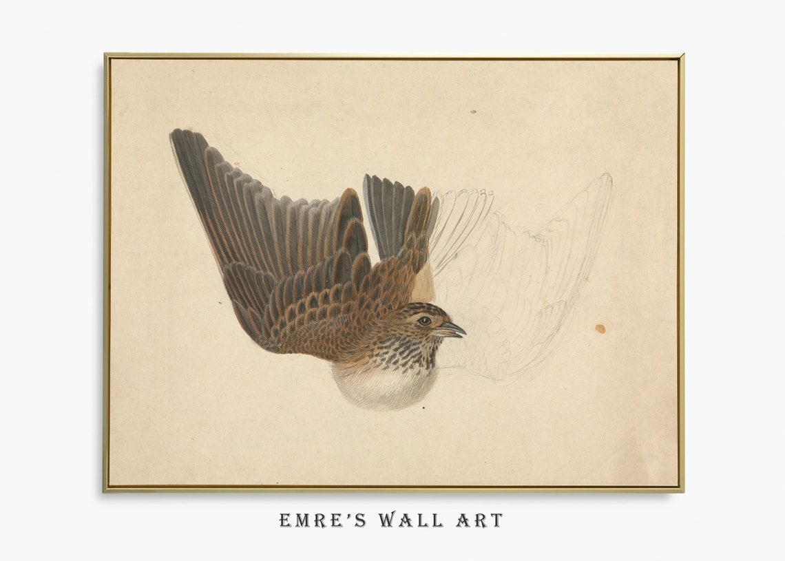 Flying Songbird Sketch Vintage Bird Study Neutral Tones Wall Art - Image 2