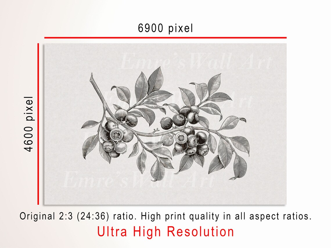 Vintage Blueberry Tree Botanical Sketch Art Print - Image 3