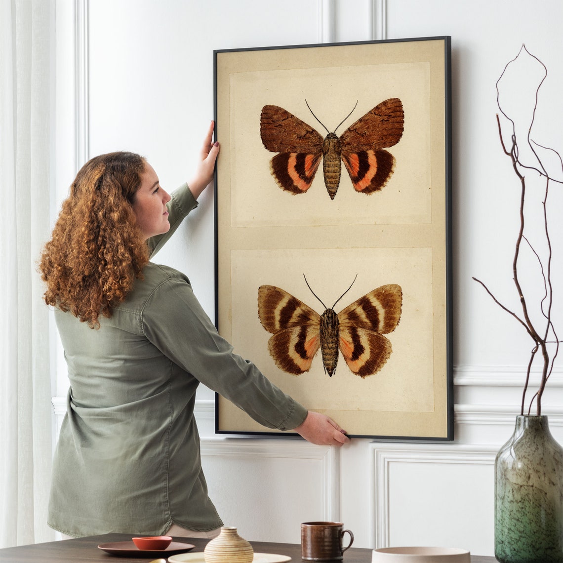 Two Moths Vintage Entomology Illustration Natural History Poster - Image 2
