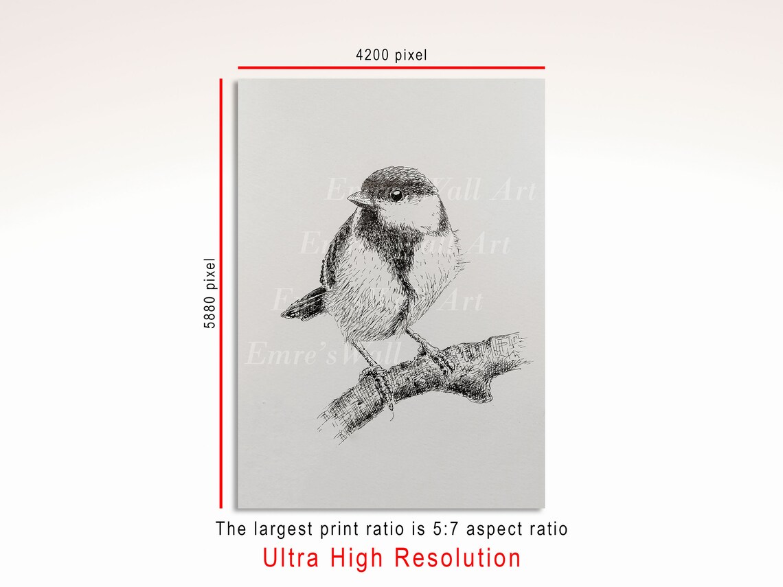 Bird Sketch Vintage Farmhouse Art Print, Sparrow - Image 3