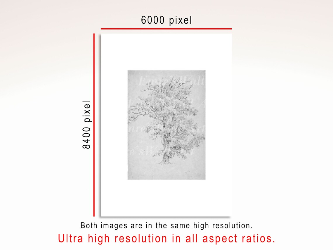 Vintage Tree Sketch Print Set, Rustic Landscape - Image 3