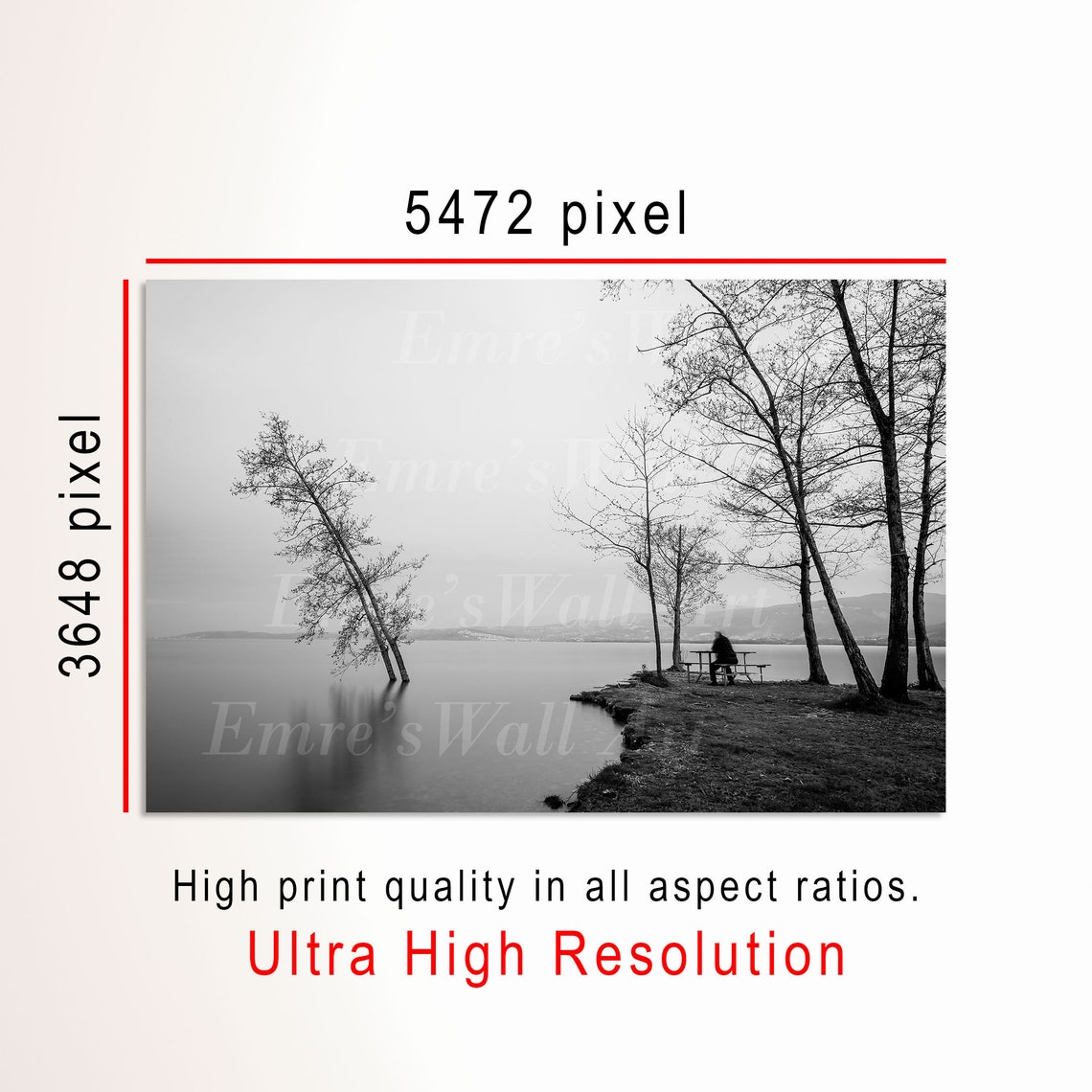 Black and White Lake Shore Solitude Monochrome Photo Artwork Poster - Image 3