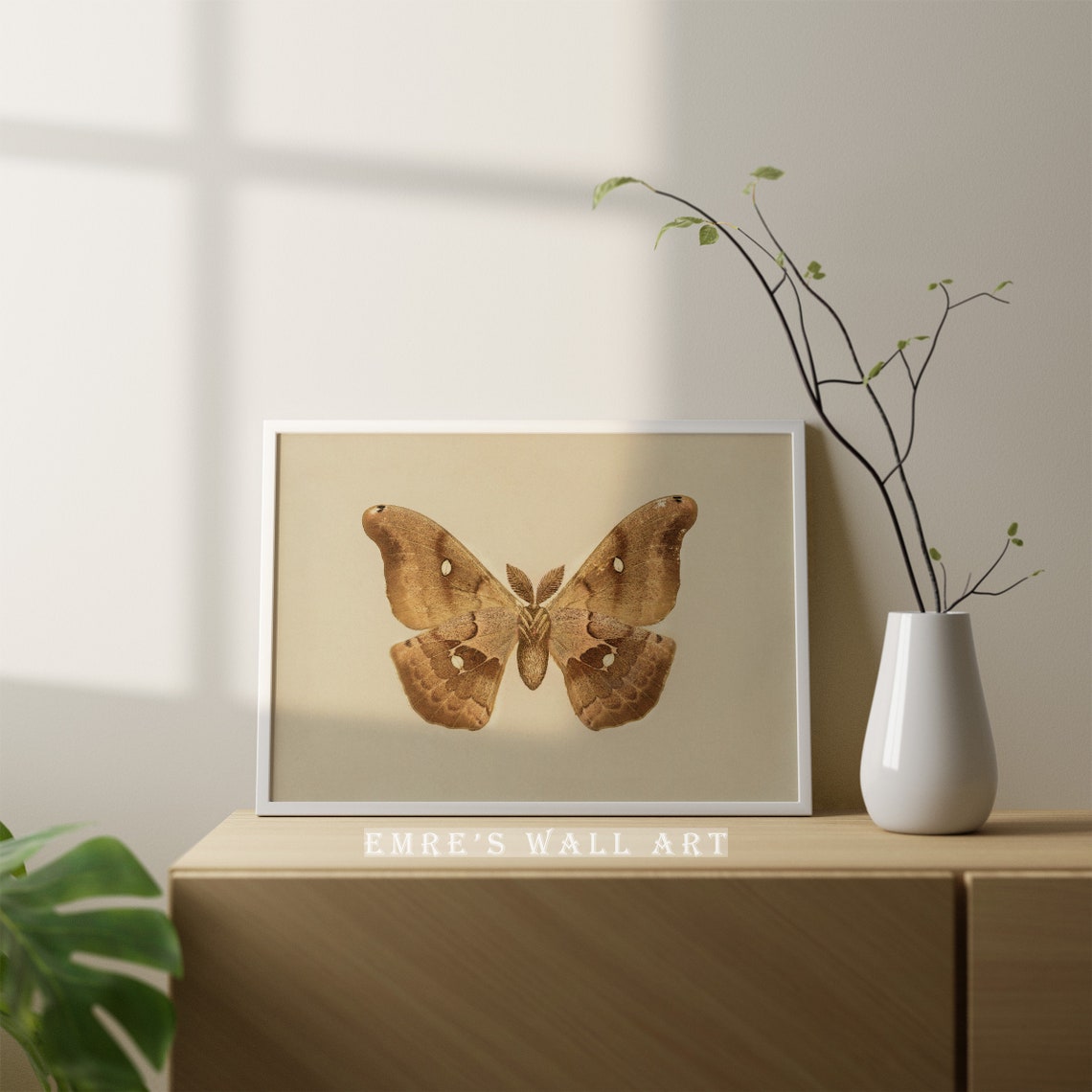 Giant Silk Moth Insect Specimen Vintage Entomology Study Poster - Image 2