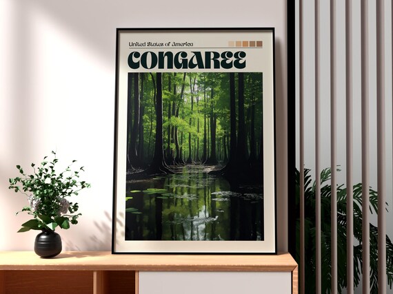 Congaree Old Growth Forest Still Water Reflections Wilderness Poster