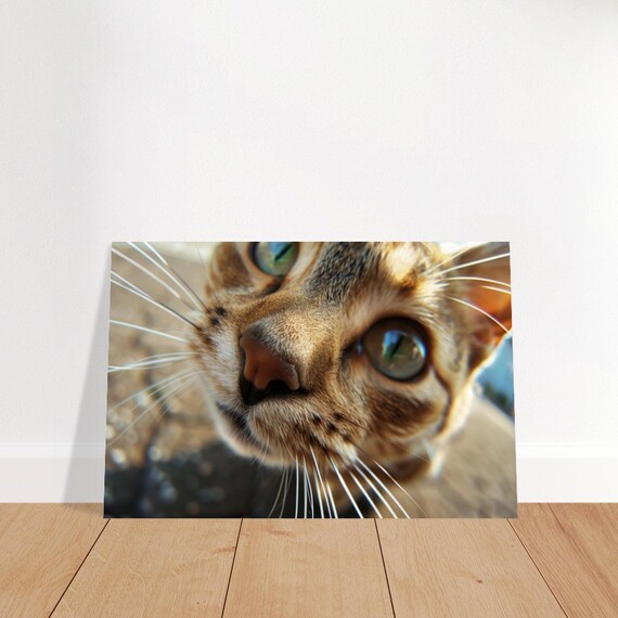 Cat Extreme Close Up Green Eyes Tabby Whiskers Funny Photo Wall Art Poster