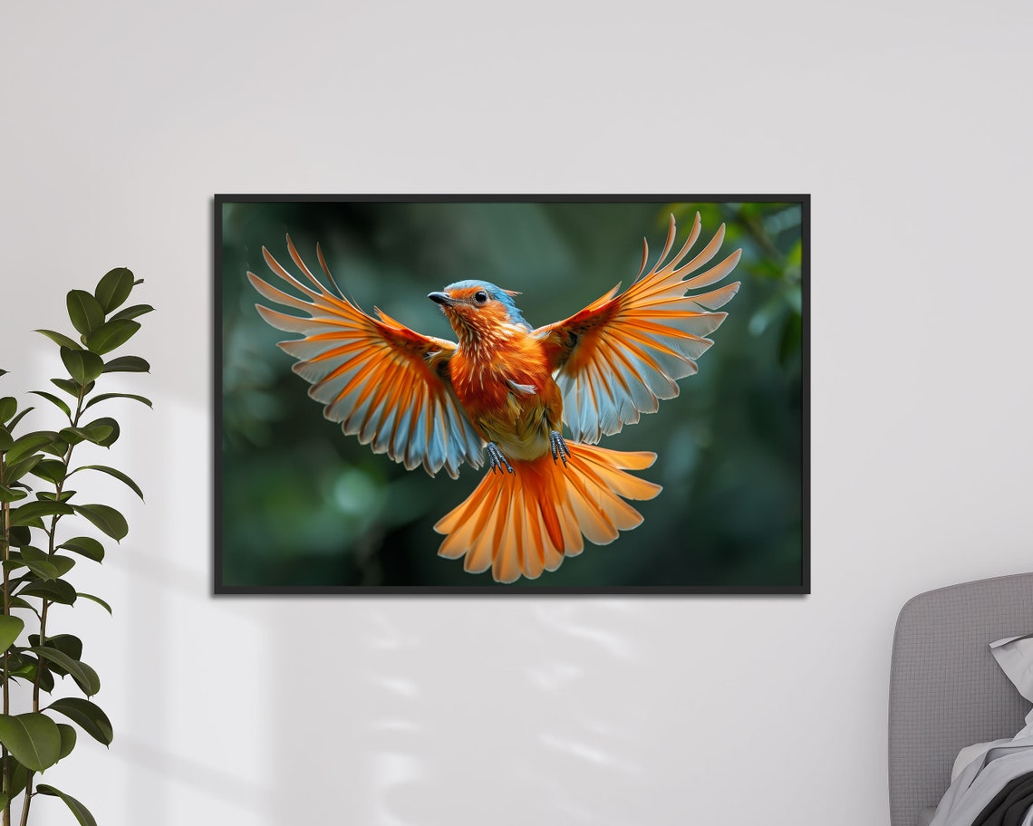 Paradise Flycatcher In Flight Orange Wings Exotic Bird Wall Art Print - Image 4