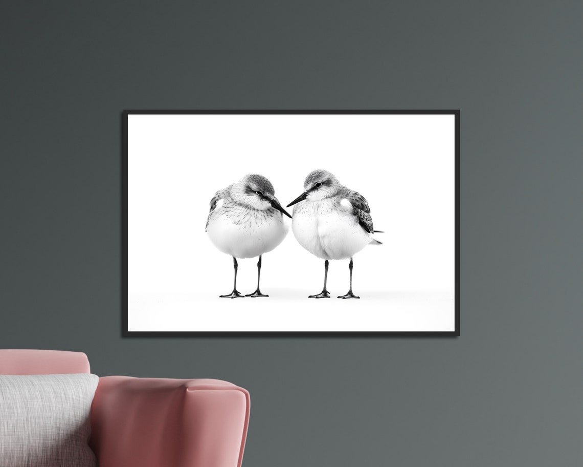 Two Shorebirds Black White Minimalist Nature Photography Wall Art