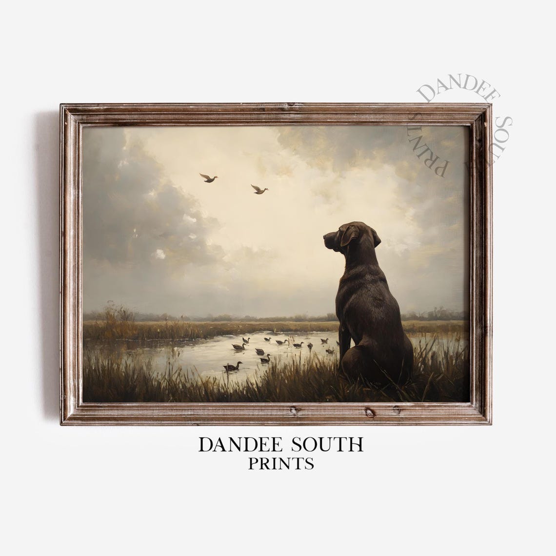Chocolate Labrador Retriever Watching Ducks in Marsh Art Poster