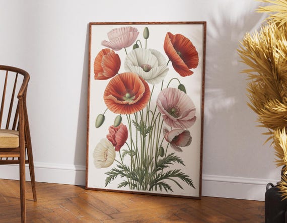 Poppy Flower Illustration Floral Wall Art Botanical Print