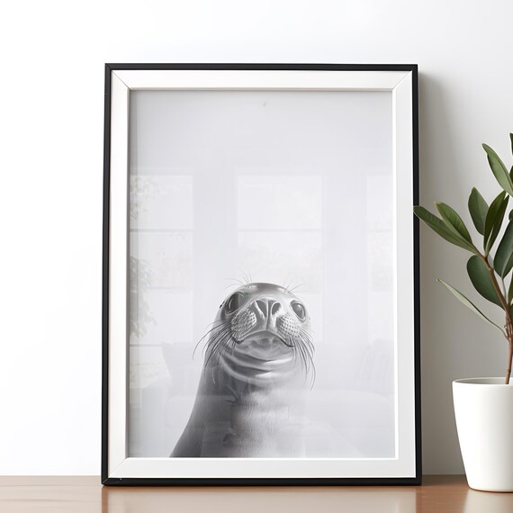Cute Baby Seal Black And White Minimal Animal Nursery Poster