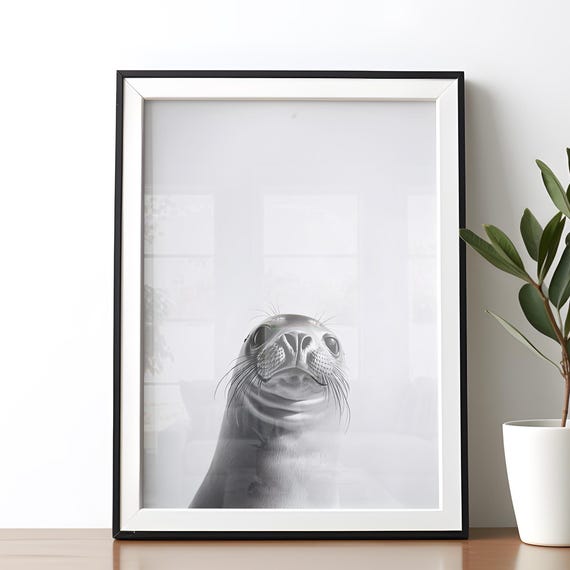 Cute Seal Wall Art Black And White Animal Nursery For Kids Room Decor Ocean Themed