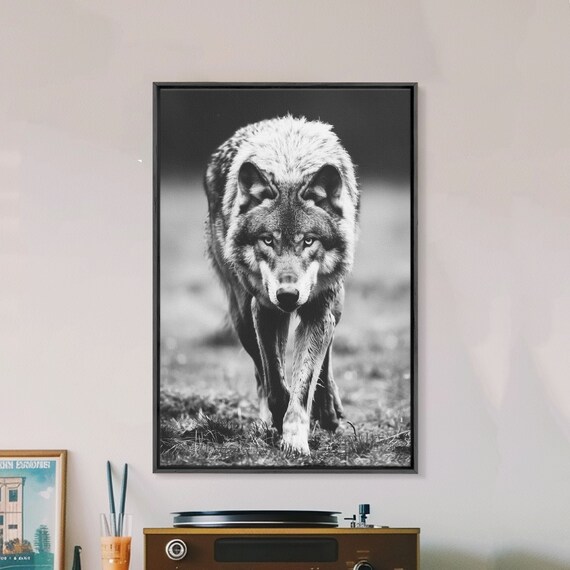 Black And White Wolf Portrait Walking Forward Wildlife Photo Poster
