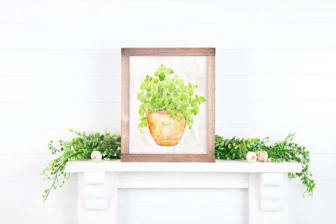 Basil Watercolor Herb in Terracotta Pot Kitchen Botanical Wall Poster - Image 2