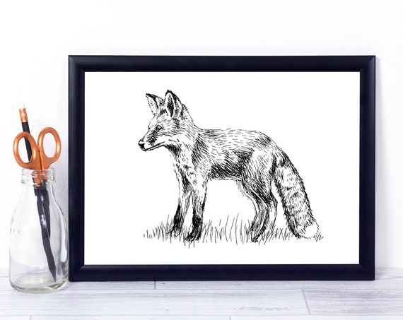 Black and White Fox Art Print, Wildlife Decor
