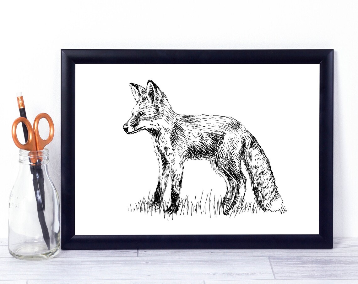 Black and White Fox Art Print, Wildlife Decor